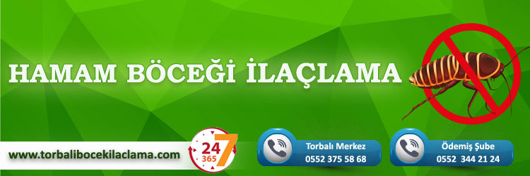 Hamam Böceği İlaçlama
