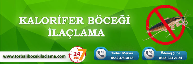 Kalorifer Böceği İlaçlama