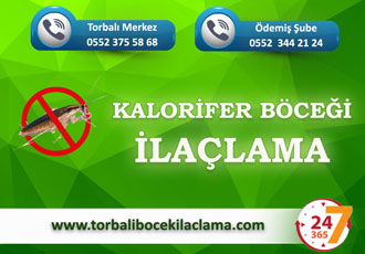Kalorifer Böceği İlaçlama