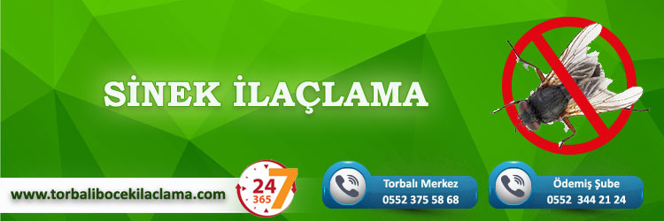 Sinek İlaçlama