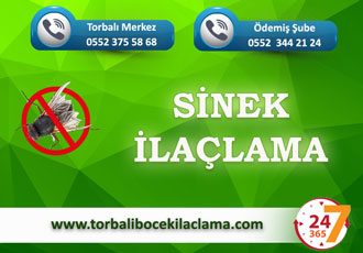 Sinek İlaçlama
