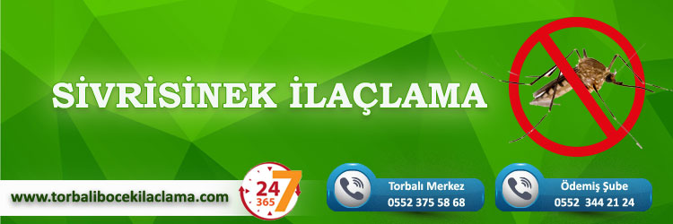 Sivrisinek İlaçlama