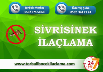 Sivrisinek İlaçlama