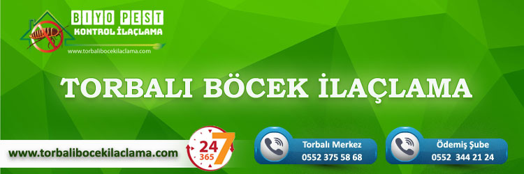 Menemen Böcek İlaçlama