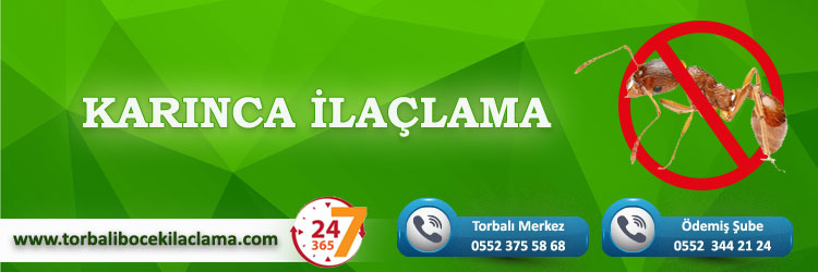Karınca İlaçlama