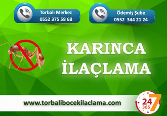 Karınca İlaçlama