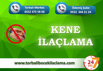 Kene İlaçlama