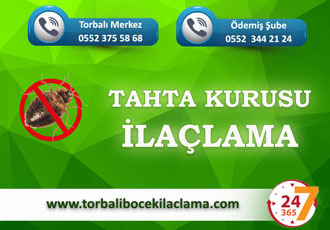 Tahta Kurusu İlaçlama