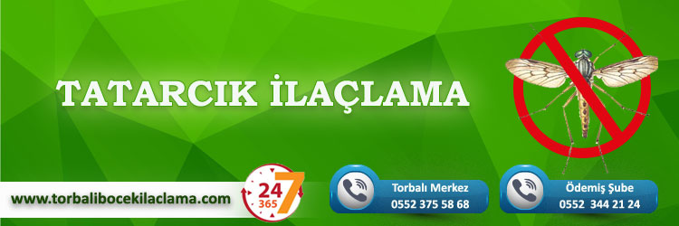 Karınca İlaçlama